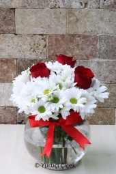 Cam Fanusta Aşkı ve Masumiyeti Anlatacak Kırmızı Güller ve Papatyalar Sevdiklerinize Kavuşmak İçin Göndermenizi Bekliyor. Yaklaşık Ürün Boyutu : 30 cm