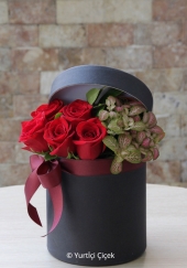 Kutu İçinde Kırmızı Güller ve Hypostes ile hazırlanan şık ürünümüzle sevdiklerinizi mutlu edebilirsiniz.