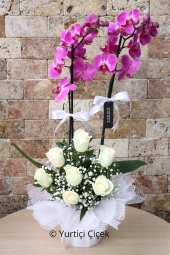 Çift Dallı Mor Orkide ve Beyaz Güller Sevdiklerinize Olan Uyumun En Güzel Çiçeği Olacak.Yaklaşık Ürün Boyutu : 60 cm