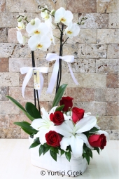 Çift dallı beyaz orkide ve yanına beyaz lilyum ile kırmızı güllerden hazırlanan aranjman ile aşkınızı capcanlı gösterin. Yaklaşık Ürün Boyutu : 65 cm