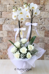 Çift Dallı Beyaz Orkide ve Beyaz Güller ile sevdiklerinize kalbinizden bir parça sunacaksınız. Yaklaşık Ürün Boyutu : 60 cm