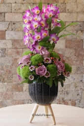 Dendrobium Orkide ve Güller ile sevginizi mis kokular eşliğinde en özel çiçeklerle anlatmanın tam zamanı. Hadi şimdi mutluluk zamanı.