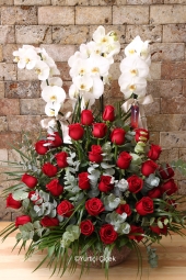 Beyaz orkide ve 41 adet kırmızı gül ile hazırlanan tasarım sevdiklerinizi mutlu etmeye yetecektir. 
<div>Not: Alt seramik stok durumuna göre değişebilir.</div>