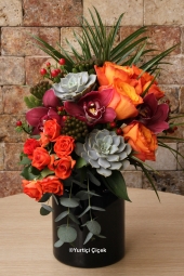   Canım Sevgilim Serisi ile Sevgilinize en özel aranjmanı hediye edebilirsiniz.<br />
5 Turuncu Gül, 3 Cymbidium Orkide, 7 Çardak Turuncu Gül, 2 Kaktüs, Egzotik Kırmızı Hiperikum ve Brunia çiçekleri ile hazırlanan özel tasarımımız.<br />
Boy: 35 cm