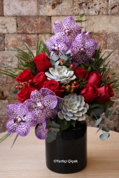  Canım Sevgilim Serisi ile Sevgilinize en özel aranjmanı hediye edebilirsiniz.<br />
9 Kırmızı Gül, 2 Vanda Mor Orkide, 2 Kaktüs, Egzotik Kırmızı Hiperikum ve Brunia çiçekleri ile hazırlanan özel tasarımımız.<br />
Boy: 35 cm