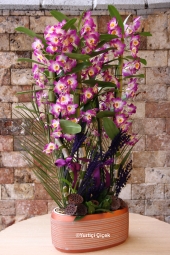 Canım Sevgilim Serisi ile Sevgilinize Özel Dendrobium Orkideyi hediye edebilirsiniz.<br />
4 Dallı Özel Dendrobium Orkidemize Lavanta süslerimiz çok yakıştı. <br />
Boy: 65 cm